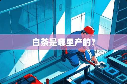 白茶是哪里产的？