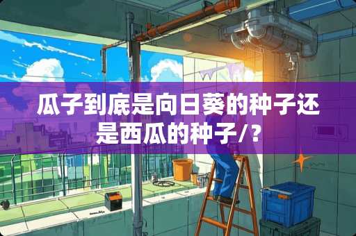 瓜子到底是向日葵的种子还是西瓜的种子/？