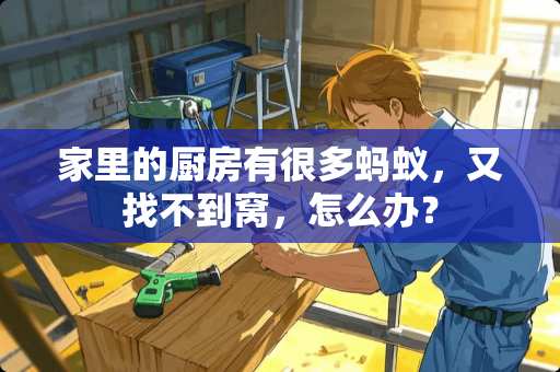 家里的厨房有很多蚂蚁，又找不到窝，怎么办？