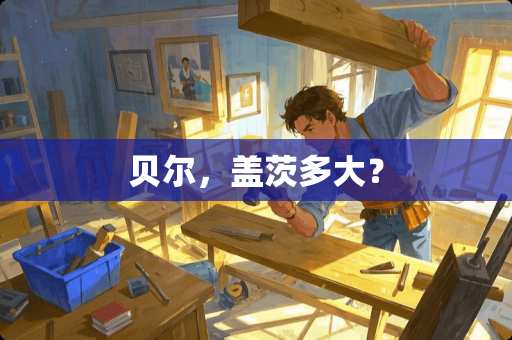 贝尔，盖茨多大？