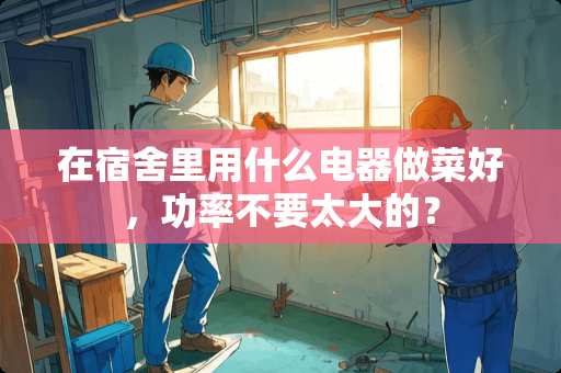 在宿舍里用什么电器做菜好，功率不要太大的？