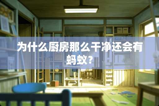 为什么厨房那么干净还会有蚂蚁？