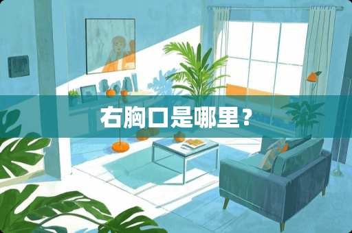 右胸口是哪里？