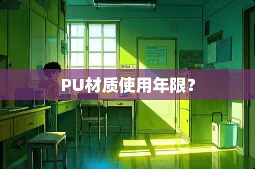 PU材质使用年限？