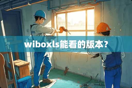 wiboxls能看的版本？