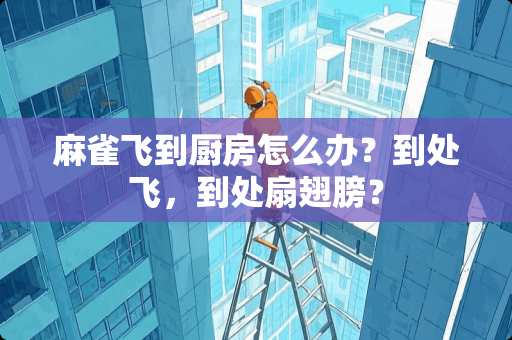麻雀飞到厨房怎么办？到处飞，到处扇翅膀？
