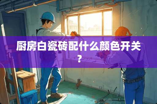 厨房白瓷砖配什么颜色开关？