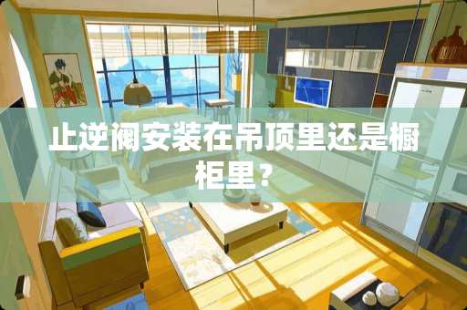 止逆阀安装在吊顶里还是橱柜里？