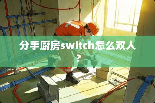 分手厨房switch怎么双人？