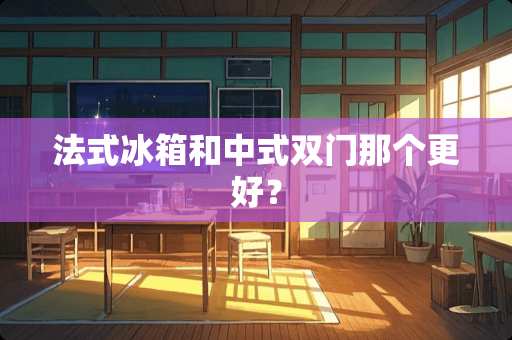 法式冰箱和中式双门那个更好？