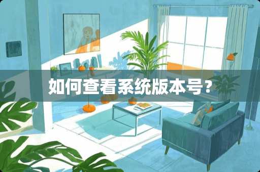 如何查看系统版本号？