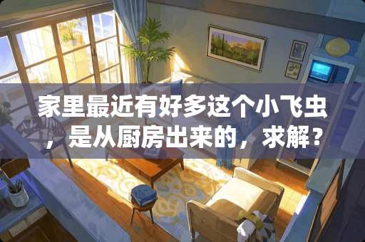 家里最近有好多这个小飞虫，是从厨房出来的，求解？