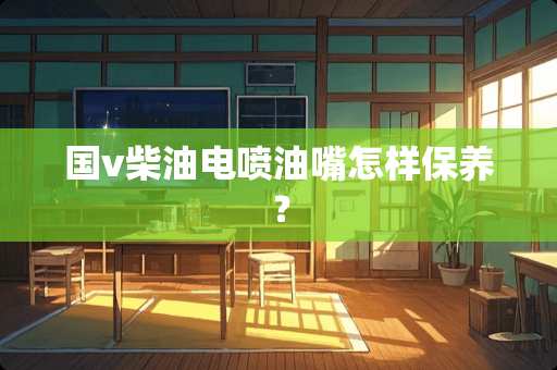 国v柴油电喷油嘴怎样保养？