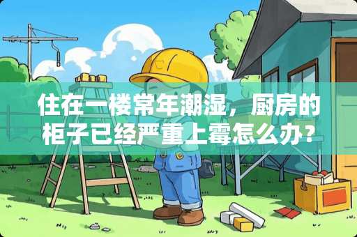 住在一楼常年潮湿，厨房的柜子已经严重上霉怎么办？