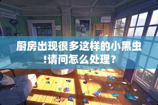 厨房出现很多这样的小黑虫!请问怎么处理？