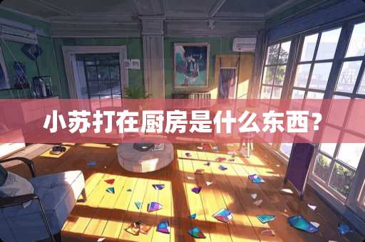 小苏打在厨房是什么东西？