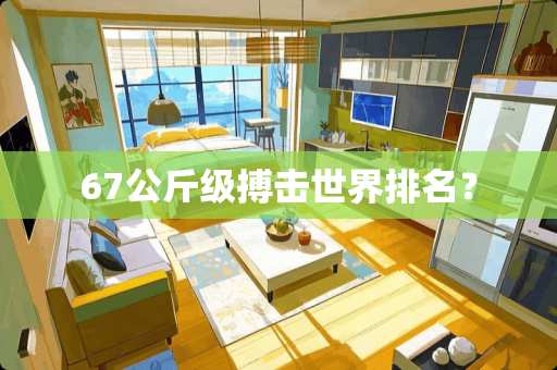 67公斤级搏击世界排名？