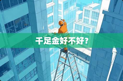 千足金好不好？