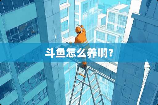 斗鱼怎么养啊？