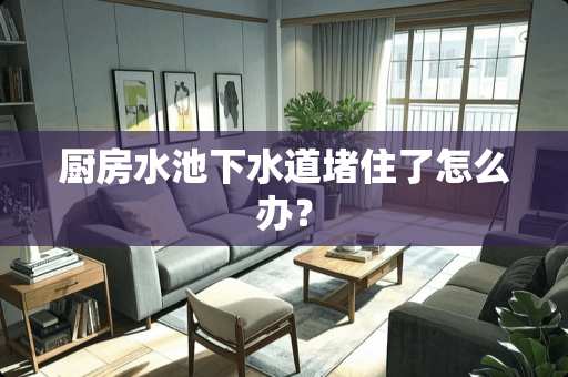 厨房水池下水道堵住了怎么办？