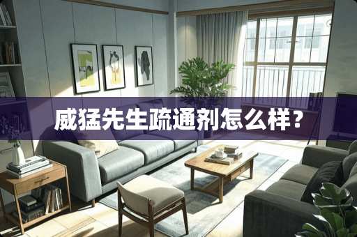 威猛先生疏通剂怎么样？