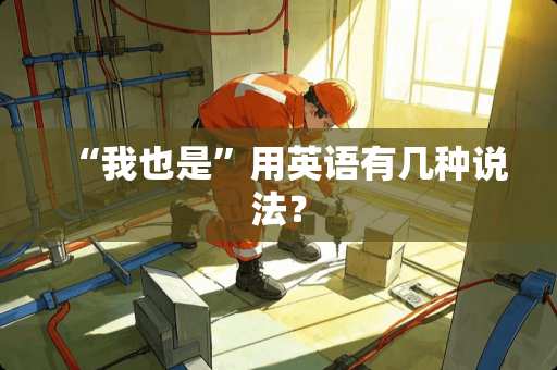 “我也是”用英语有几种说法？