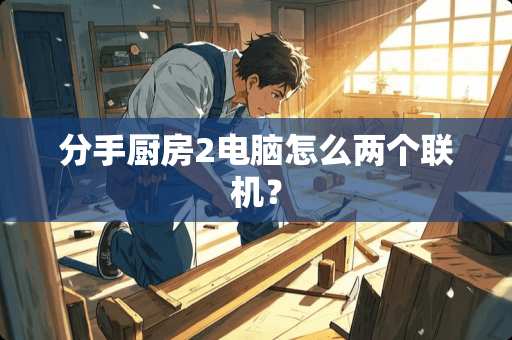 分手厨房2电脑怎么两个联机？