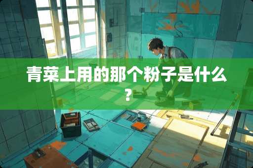 青菜上用的那个粉子是什么？