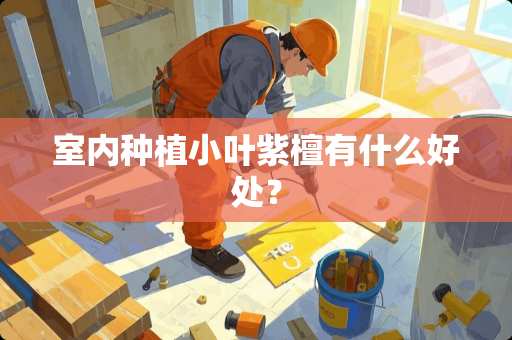 室内种植小叶紫檀有什么好处？