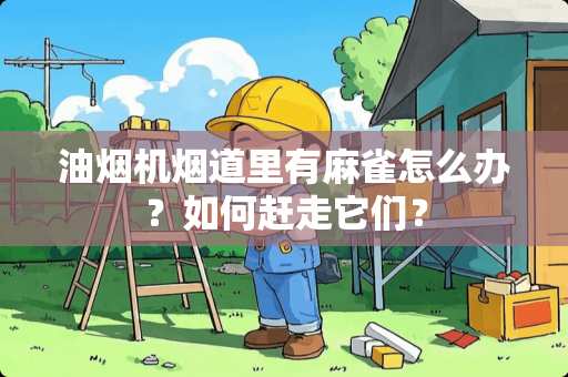 油烟机烟道里有麻雀怎么办？如何赶走它们？