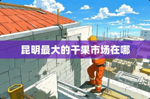 昆明最大的干果市场在哪