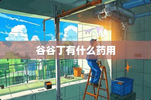 谷谷丁有什么药用