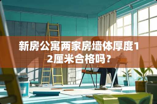 新房公寓两家房墙体厚度12厘米合格吗？