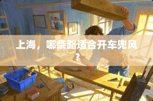 上海，哪条路适合开车兜风？