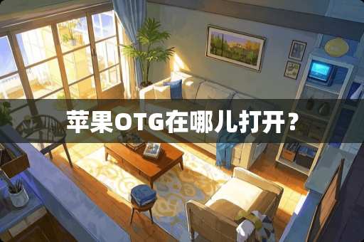 苹果OTG在哪儿打开？