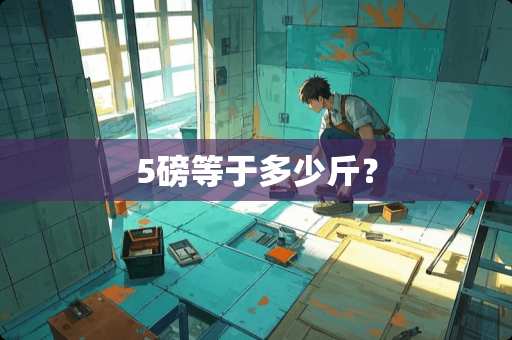 5磅等于多少斤？