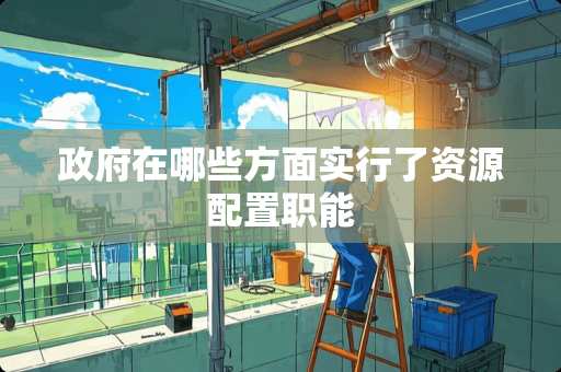 **在哪些方面实行了资源配置职能