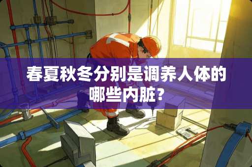 春夏秋冬分别是调养人体的哪些内脏？