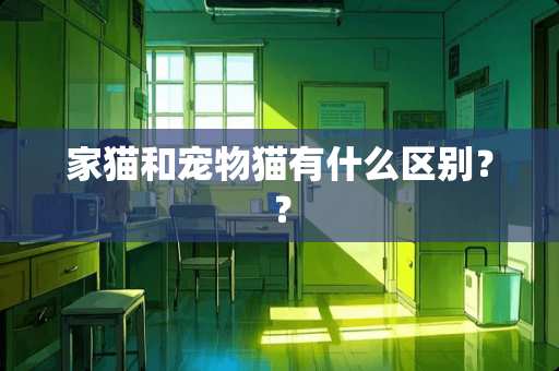 家猫和宠物猫有什么区别？？