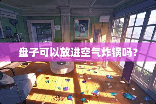 盘子可以放进空气炸锅吗？