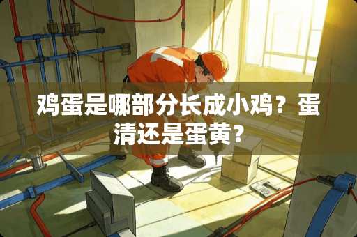 鸡蛋是哪部分长成小鸡？蛋清还是蛋黄？