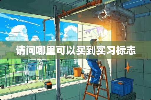 请问哪里可以买到实习标志