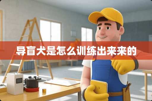 导盲犬是怎么训练出来来的