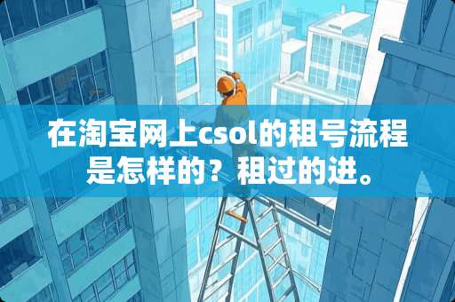 在淘宝网上csol的租号流程是怎样的？租过的进。