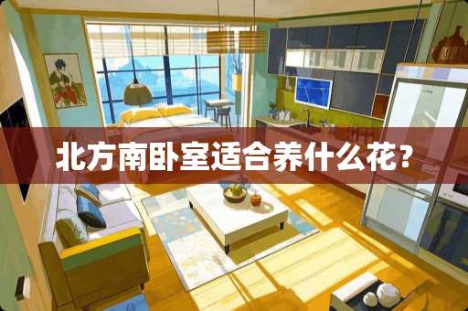 北方南卧室适合养什么花？