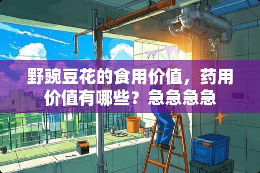野豌豆花的食用价值，药用价值有哪些？急急急急