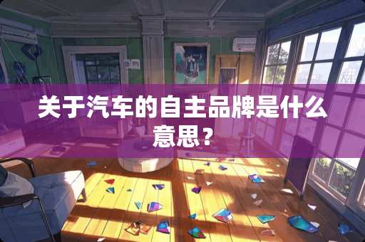 关于汽车的自主品牌是什么意思？