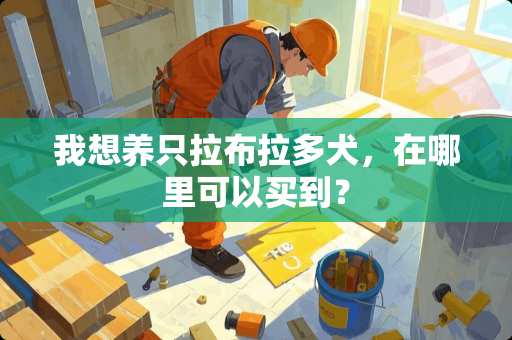 我想养只拉布拉多犬，在哪里可以买到？