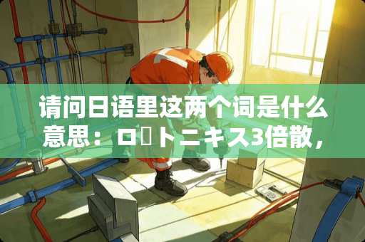 请问日语里这两个词是什么意思:ロートニキス3倍散,ンヨウ乾燥ニキス。 请问日语里这两个词是什么意思:ロートニキス3倍散,ンヨウ乾燥ニキス。