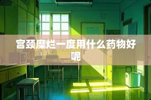 宫颈糜烂一度用什么药物好呢